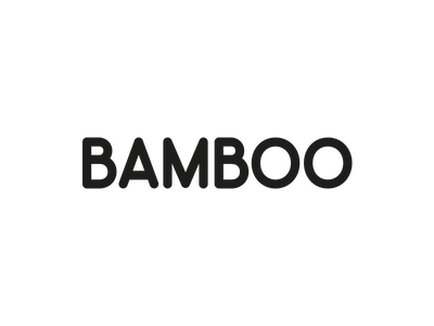 Absolute client: Bamboo Loans